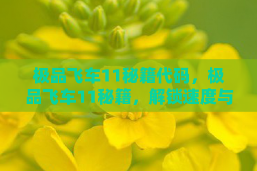 极品飞车11秘籍代码，极品飞车11秘籍，解锁速度与激情的终极攻略