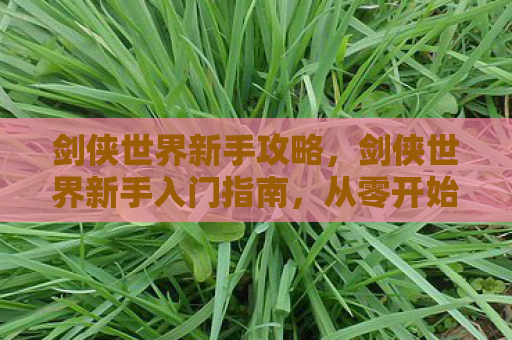 剑侠世界新手攻略，剑侠世界新手入门指南，从零开始打造你的江湖之旅