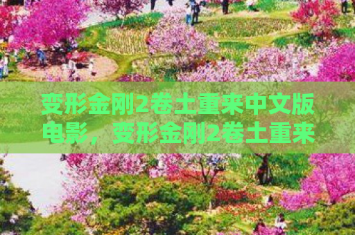 变形金刚2卷土重来中文版电影，变形金刚2卷土重来中文版，重温经典，再燃战火