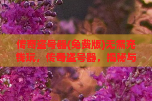 传奇盗号器(免费版)无需充钱玩，传奇盗号器，揭秘与防范