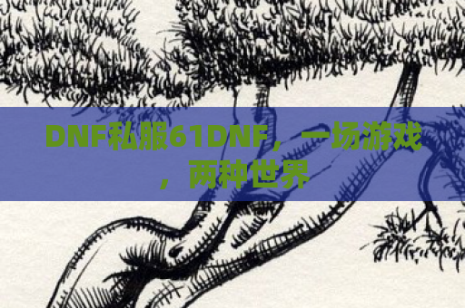 DNF私服61DNF，一场游戏，两种世界