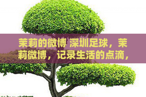 茉莉的微博 深圳足球，茉莉微博，记录生活的点滴，传递温暖的力量