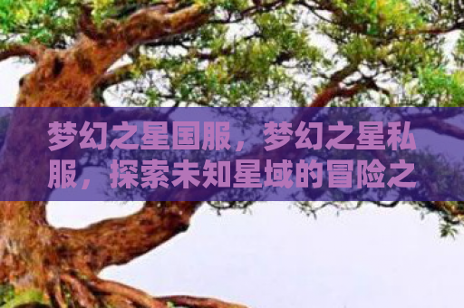 梦幻之星国服，梦幻之星私服，探索未知星域的冒险之旅