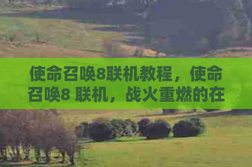 使命召唤8联机教程，使命召唤8 联机，战火重燃的在线对战体验