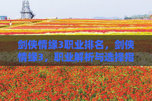 剑侠情缘3职业排名，剑侠情缘3，职业解析与选择指南