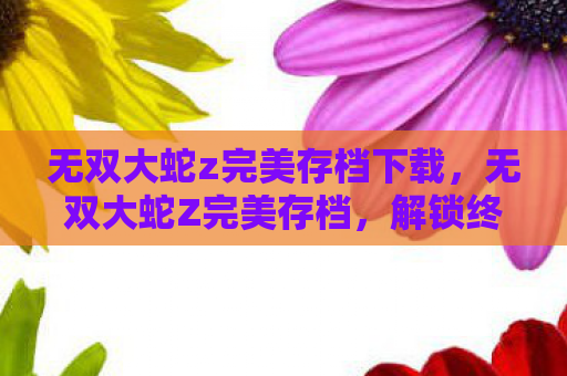 无双大蛇z完美存档下载，无双大蛇Z完美存档，解锁终极游戏体验的秘籍