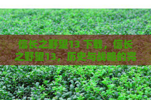 信长之野望13 下载，信长之野望13，历史与战略的完美融合