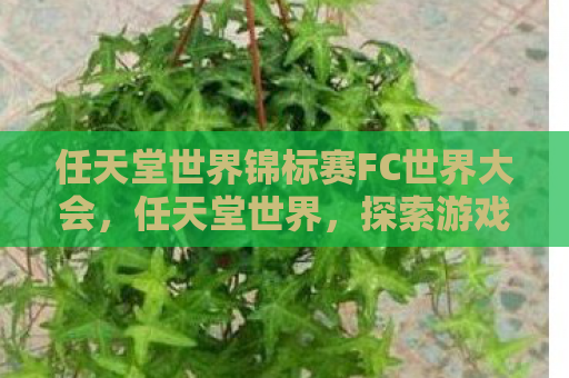 任天堂世界锦标赛FC世界大会，任天堂世界，探索游戏与娱乐的无限可能