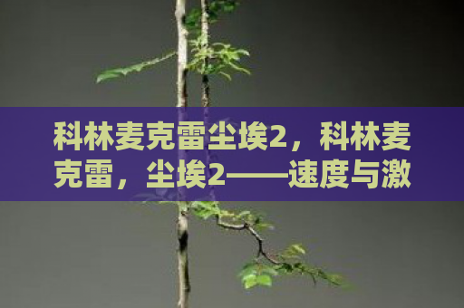 科林麦克雷尘埃2，科林麦克雷，尘埃2——速度与激情的终极体验