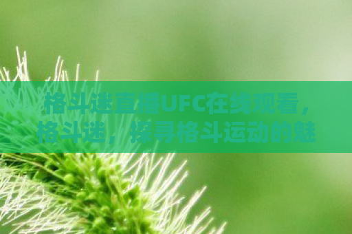 格斗迷直播UFC在线观看，格斗迷，探寻格斗运动的魅力与奥秘
