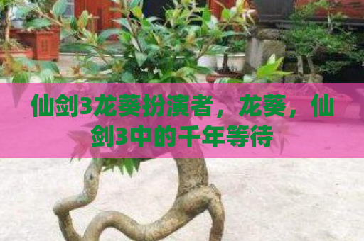 仙剑3龙葵扮演者，龙葵，仙剑3中的千年等待