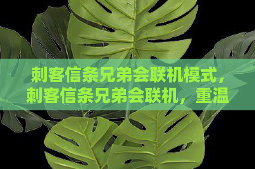 刺客信条兄弟会联机模式，刺客信条兄弟会联机，重温经典，共享荣耀