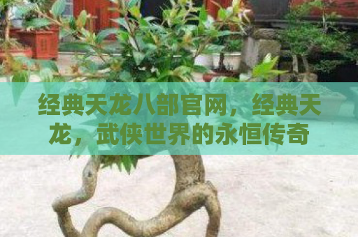 经典天龙八部官网，经典天龙，武侠世界的永恒传奇