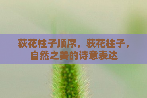 荻花柱子顺序，荻花柱子，自然之美的诗意表达