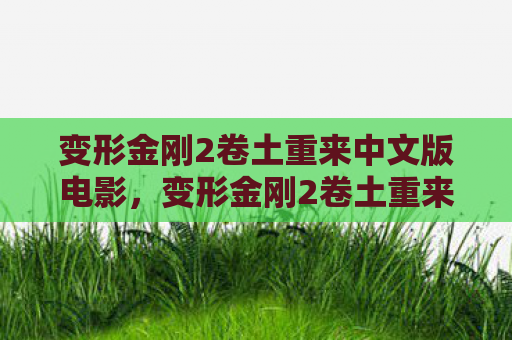 变形金刚2卷土重来中文版电影，变形金刚2卷土重来中文版，一场视觉与情感的双重盛宴