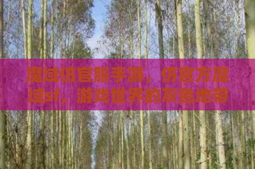 魔域仿官服手游，仿官方魔域sf，游戏世界的灰色地带