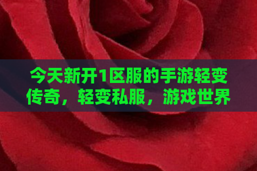 今天新开1区服的手游轻变传奇，轻变私服，游戏世界的双刃剑