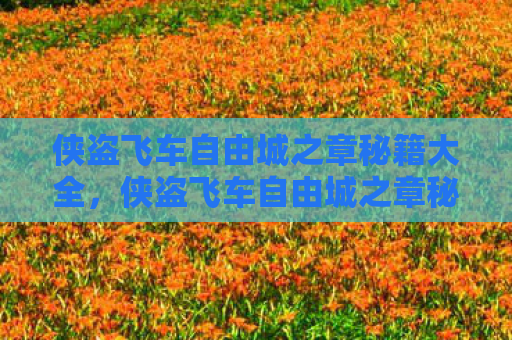 侠盗飞车自由城之章秘籍大全，侠盗飞车自由城之章秘籍，解锁无限可能