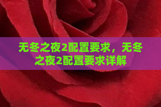 无冬之夜2配置要求，无冬之夜2配置要求详解