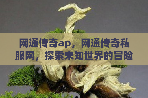 网通传奇ap，网通传奇私服网，探索未知世界的冒险之旅
