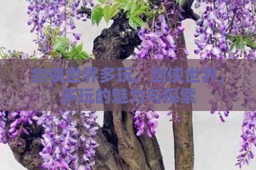 剑侠世界多玩，剑侠世界，多玩的魅力与探索