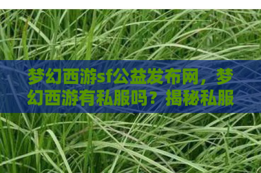 梦幻西游sf公益发布网，梦幻西游有私服吗？揭秘私服背后的真相