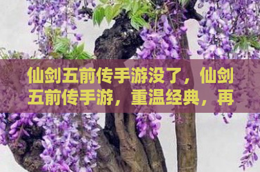 仙剑五前传手游没了，仙剑五前传手游，重温经典，再续前缘