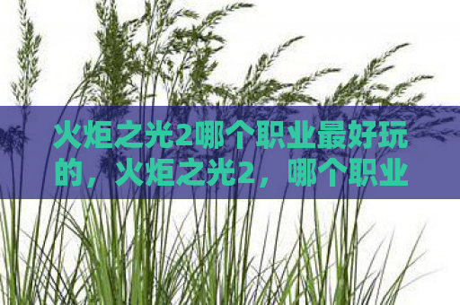 火炬之光2哪个职业最好玩的，火炬之光2，哪个职业最适合你？