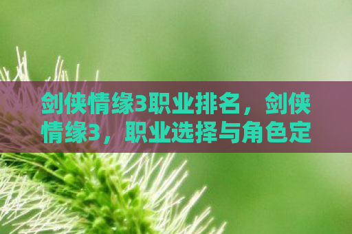 剑侠情缘3职业排名，剑侠情缘3，职业选择与角色定位