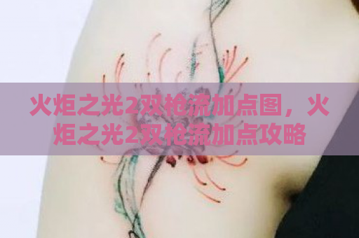 火炬之光2双枪流加点图，火炬之光2双枪流加点攻略