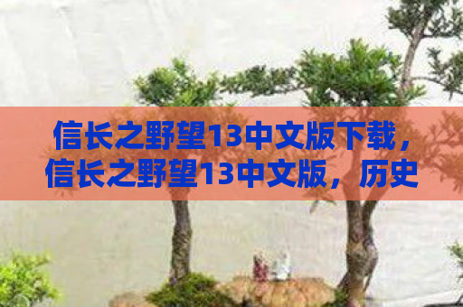信长之野望13中文版下载，信长之野望13中文版，历史与战略的完美融合