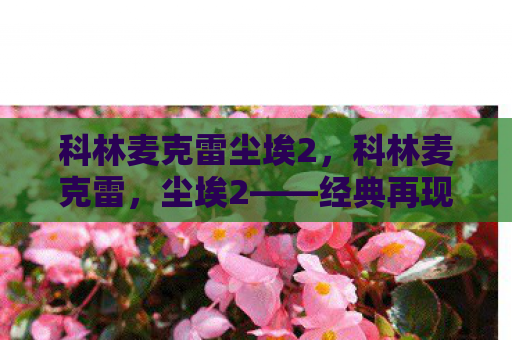 科林麦克雷尘埃2，科林麦克雷，尘埃2——经典再现，速度与激情的终极体验