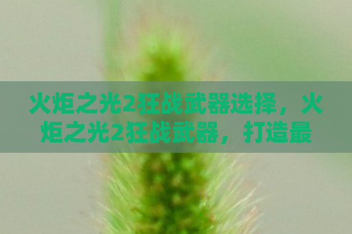 火炬之光2狂战武器选择，火炬之光2狂战武器，打造最强战斗力的必备指南