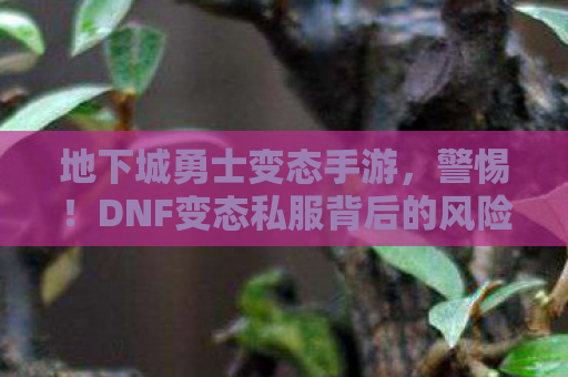 地下城勇士变态手游，警惕！DNF变态私服背后的风险与危害