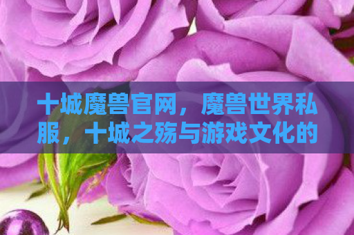 十城魔兽官网，魔兽世界私服，十城之殇与游戏文化的扭曲