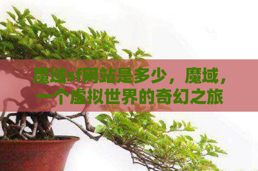 魔域sf网站是多少，魔域，一个虚拟世界的奇幻之旅