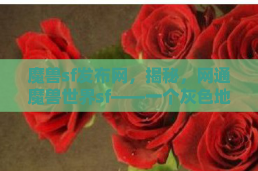 魔兽sf发布网，揭秘，网通魔兽世界sf——一个灰色地带的游戏世界