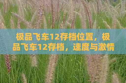 极品飞车12存档位置，极品飞车12存档，速度与激情的延续