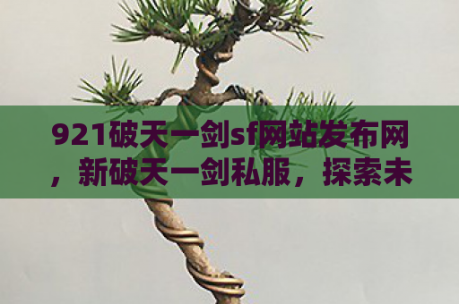 921破天一剑sf网站发布网，新破天一剑私服，探索未知世界的冒险之旅