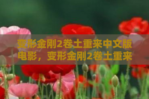 变形金刚2卷土重来中文版电影，变形金刚2卷土重来中文版，超越前作的震撼与感动