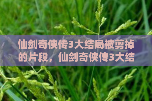 仙剑奇侠传3大结局被剪掉的片段，仙剑奇侠传3大结局，命运的轮回与永恒的羁绊