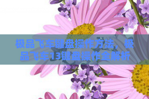 极品飞车键盘操作方法，极品飞车13键盘操作全解析