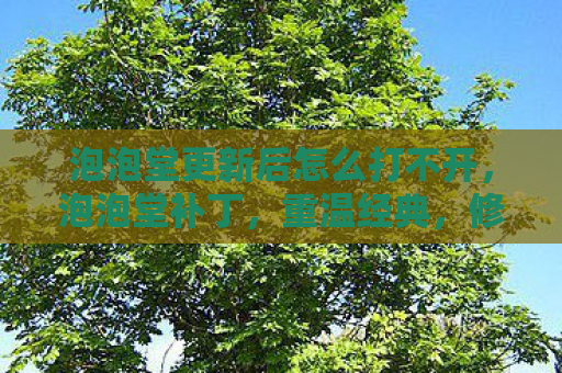 泡泡堂更新后怎么打不开，泡泡堂补丁，重温经典，修复回忆