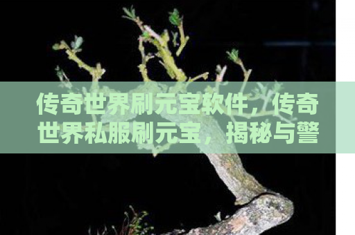 传奇世界刷元宝软件，传奇世界私服刷元宝，揭秘与警示