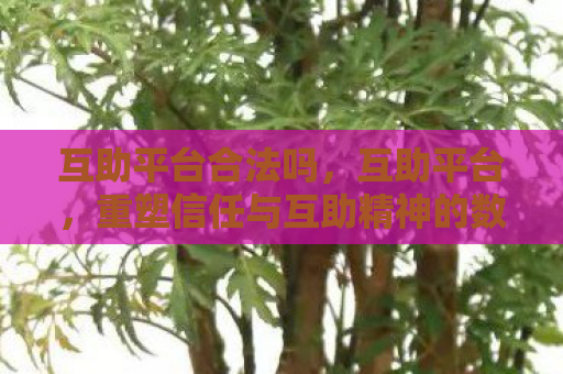 互助平台合法吗，互助平台，重塑信任与互助精神的数字时代实践