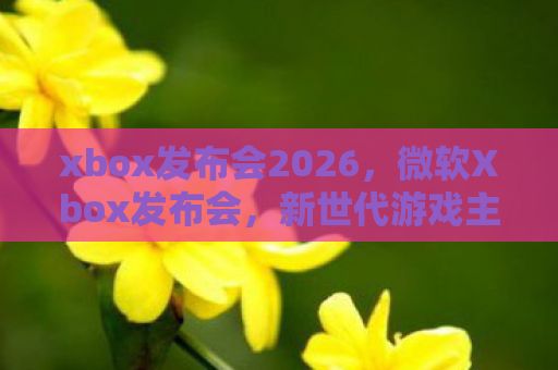 xbox发布会2026，微软Xbox发布会，新世代游戏主机的震撼登场