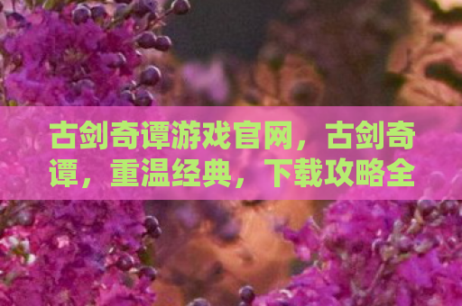 古剑奇谭游戏官网，古剑奇谭，重温经典，下载攻略全解析