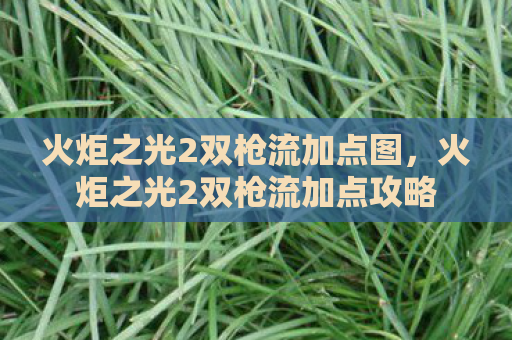 火炬之光2双枪流加点图，火炬之光2双枪流加点攻略