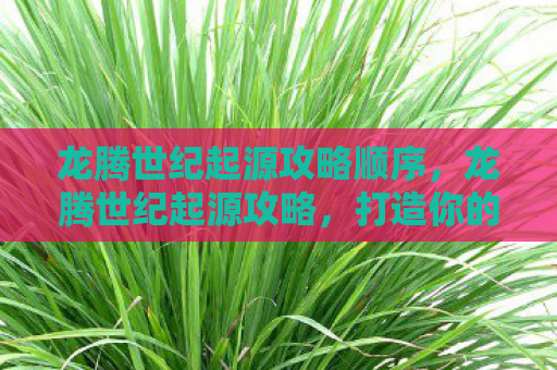 龙腾世纪起源攻略顺序，龙腾世纪起源攻略，打造你的传奇之旅