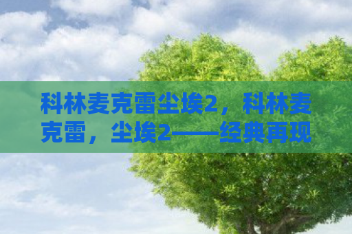 科林麦克雷尘埃2，科林麦克雷，尘埃2——经典再现的拉力赛传奇